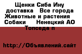 Щенки Сиба Ину доставка - Все города Животные и растения » Собаки   . Ненецкий АО,Топседа п.